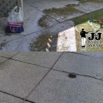 Patio- Before & After Pressure Washing